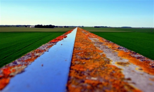 带杨字好听微信昵称