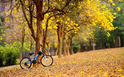 女性简单大气微信名