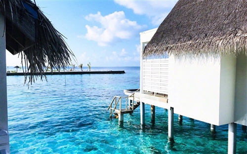 抖音上很火的个性签名