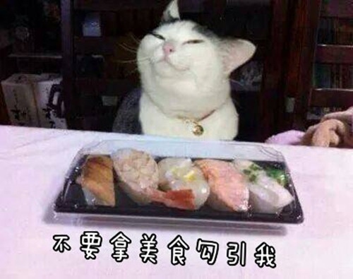 让人喷饭的经典搞笑段子