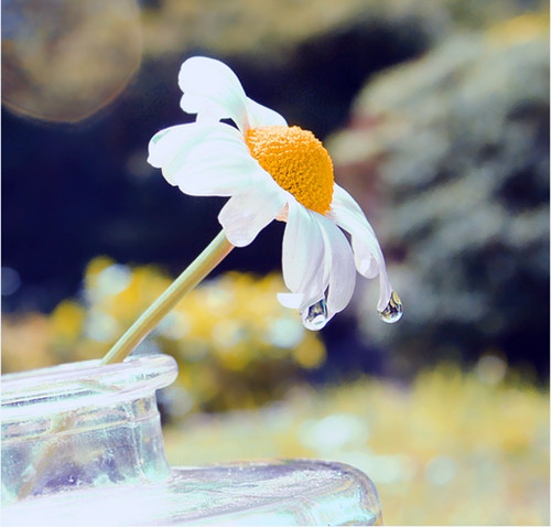 有诗意阳光的微信网名