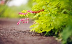 把握机会的经典句子