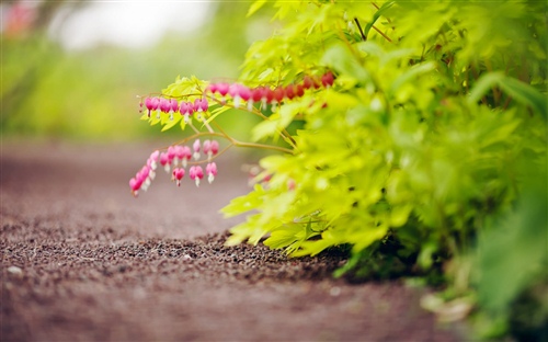 把握机会的经典句子