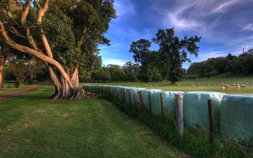 很温柔适合摘抄的神仙句子