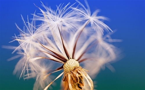 一路顺风打动人心的句子