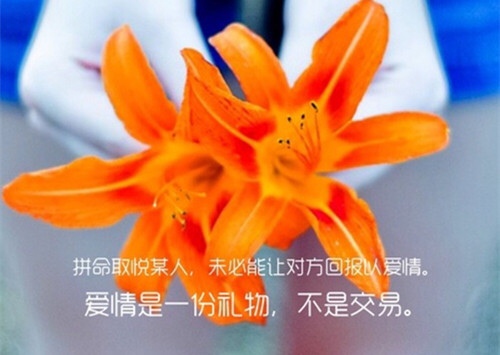 2021心灵鸡汤每天一心情语录