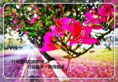 2020即将过去展望2021说说