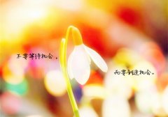 2021新年新气象的励志句子