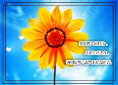 致努力的自己发朋友圈的句子