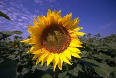 2021说的很有道理的句子