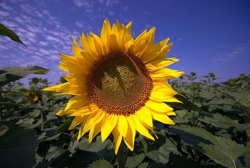 2021说的很有道理的句子