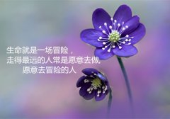 2021年祝福展望愿望