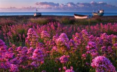 中午好高情商问候语