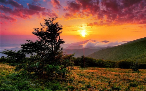 最牛老师激励学生话语