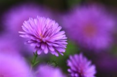 骂前任说的最经典的话