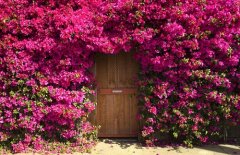 微信网名大全2021最新版的一个字两个字