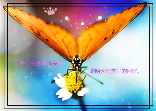 2021年最吸引人的短句