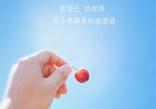 热爱生活的积极的句子