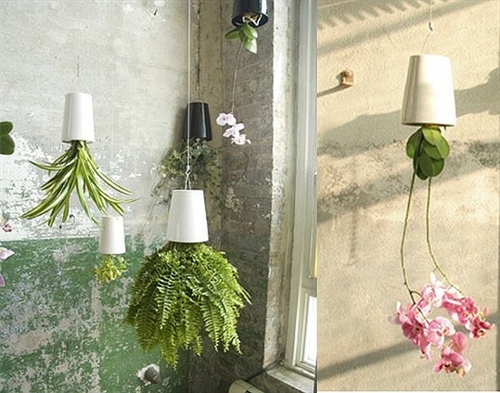 网名2021最新版的女生三个字