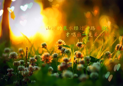 微信昵称女生简短好听40至50岁