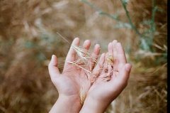 微信昵称2021最新的女三个字