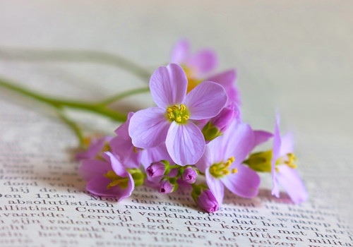 微博网名男生简单气质