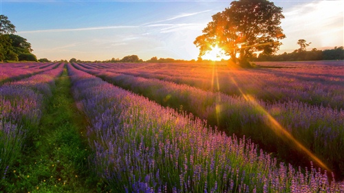 女性有涵养的微信名