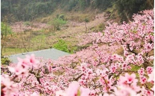 带紫字的仙气的古风女子名字