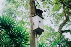 作文能用到的句子摘抄