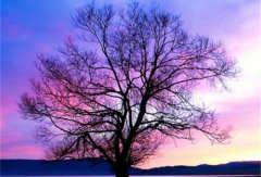 适合中年妈妈的网名简单气质