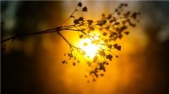 好好保护自己的文案