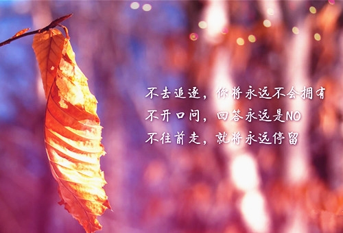 抖音励志语录心灵鸡汤