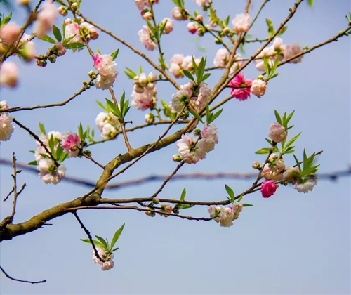 有诗意的情侣网名五个字