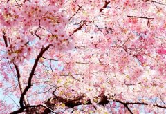 微信朋友圈关于时间文案句子