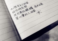 惊艳了世人的书摘文案短句