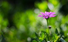 带平字最有含义微信昵称