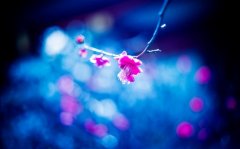 生活败给了现实的说说