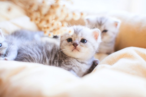 既不丧又不开心的文案