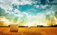 长大瞬间成熟的长句文案