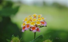 不取悦别人要活出自我的句子