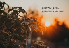 发朋友圈的句子心情短句关于生活