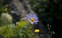 断舍离语录适合发圈句子