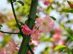 春游朋友圈说说的好句子