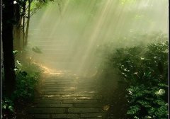 大爷大妈喜欢用的网名