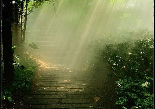 大爷大妈喜欢用的网名