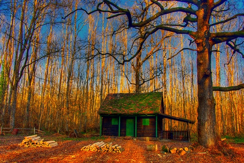 描写雨天美好优美的句子