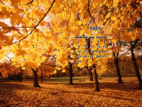 最能打动人心的早安问候语