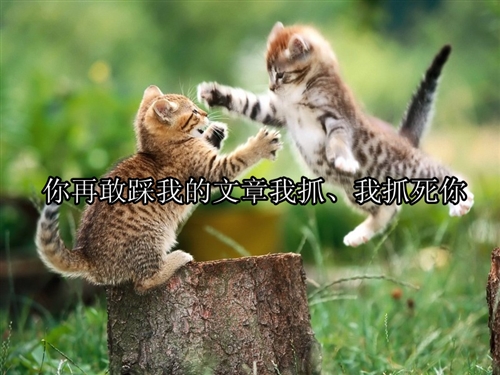 朋友圈逗人开心的句子风趣幽默