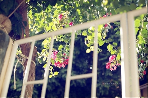 微信名女生简单气质四个字