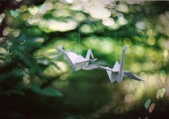 用无论还是都造句大全二年级